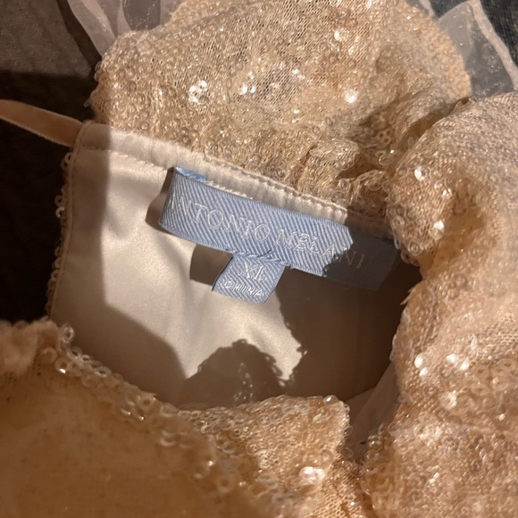 Antonio Melani | NICOLA BATHIE  Sequined Long Sleeve Blouse Champagne - Picture 8 of 9